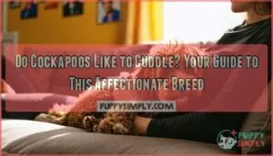 do cockapoos like to cuddle
