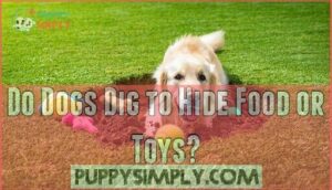 do dogs dig to hide food or toys