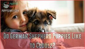 do german shepherd puppies like to cuddle