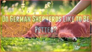 do german shepherds like to be petted