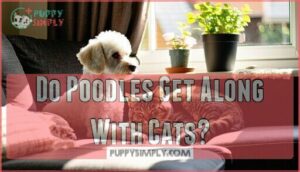 do poodles get along with cats