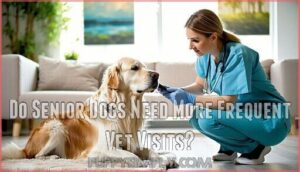 do senior dogs need more frequent vet visits