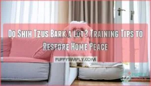 do shih tzus bark a lot get peace in your home again