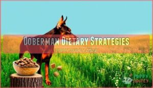 doberman dietary strategies