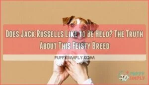 does jack russells like to be held does jack russells like to be held