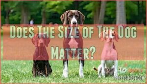 does the size of the dog matter