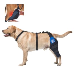 Dog ACL Brace Hind Leg, B0FFSLYFHB