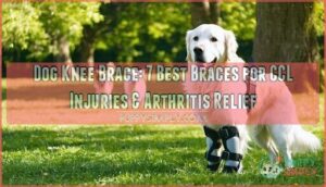 dog knee brace