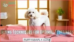 drying techniques for optimal fluffiness