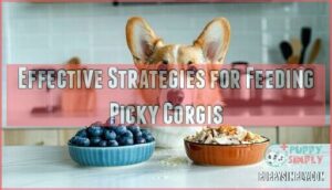 effective strategies for feeding picky corgis