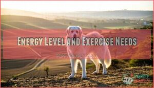 energy level and exercise needs