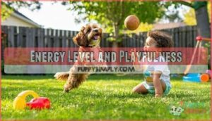 energy level and playfulness