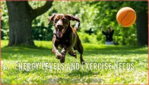 energy levels and exercise needs
