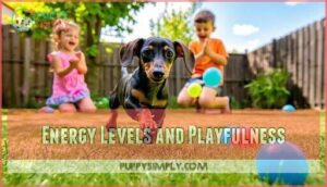 energy levels and playfulness