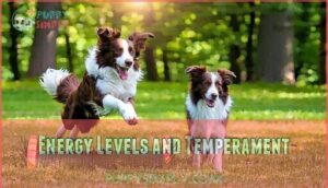 energy levels and temperament