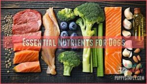 essential nutrients for dogs