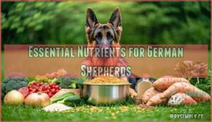 essential nutrients for german shepherds