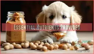 essential nutrients provided