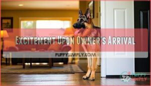 excitement upon owner's arrival