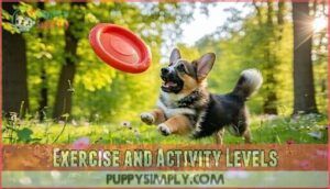 exercise and activity levels
