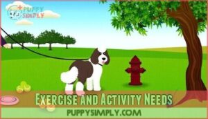 exercise and activity needs