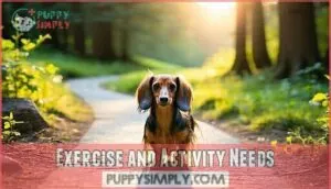 exercise and activity needs