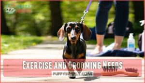 exercise and grooming needs