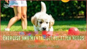exercise and mental stimulation needs