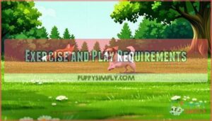 exercise and play requirements