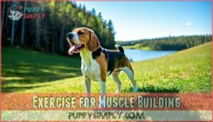 exercise for muscle building