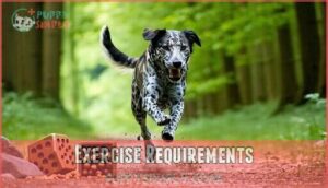 exercise requirements