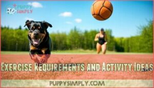 exercise requirements and activity ideas