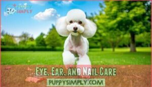 eye, ear, and nail care
