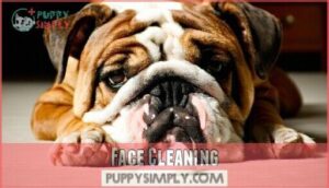 face cleaning