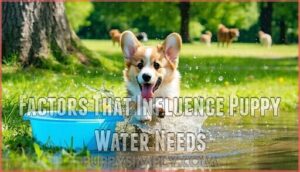 factors that influence puppy water needs