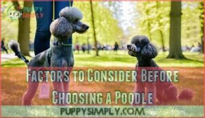 factors to consider before choosing a poodle