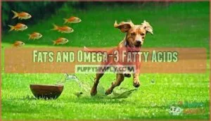 fats and omega-3 fatty acids