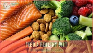 feed a healthy diet