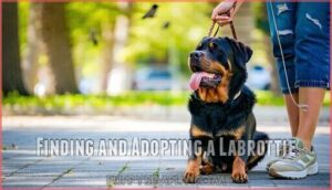 finding and adopting a labrottie