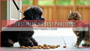 first meeting best practices