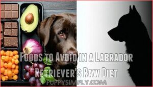 foods to avoid in a labrador retriever's raw diet