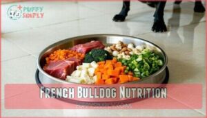 french bulldog nutrition