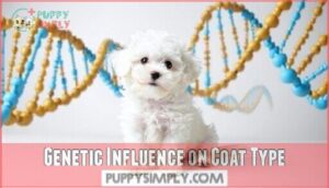 genetic influence on coat type