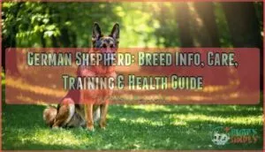 german shepherd