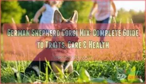 german shepherd corgi mix
