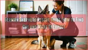 german shepherd rescue guide how to find one and what it will be like