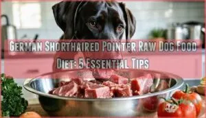german shorthaired pointer raw dog food diet