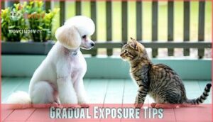 gradual exposure tips