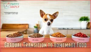 gradual transition to homemade food