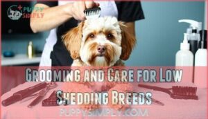 grooming and care for low shedding breeds